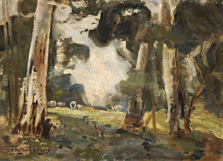 SHEEP AND GUM TREES