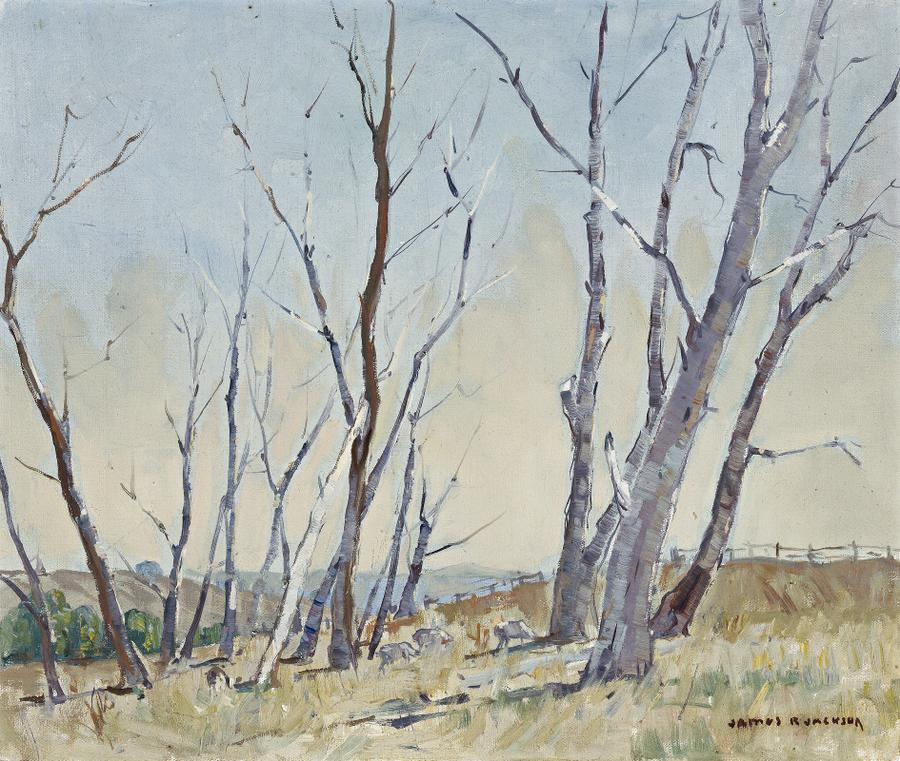 TREES IN A RURAL LANDSCAPE