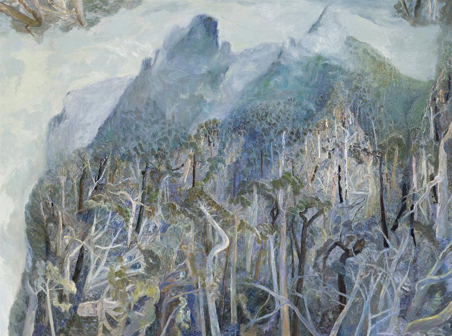 NIMBIN ROCKS IN FOG