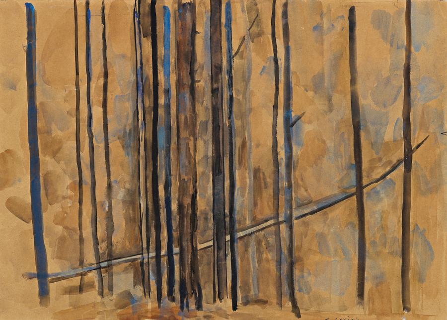 FALLEN TREE, SHERBROOKE