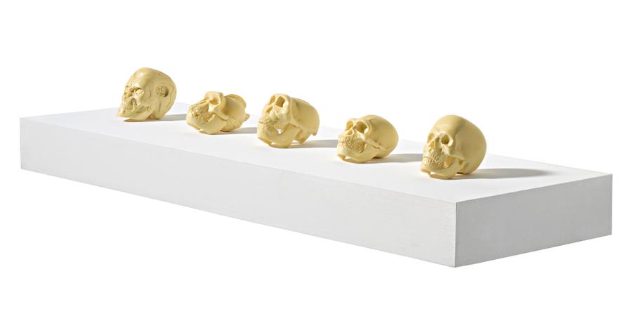 EVOLUTION IN ORDER OF APPEARANCE