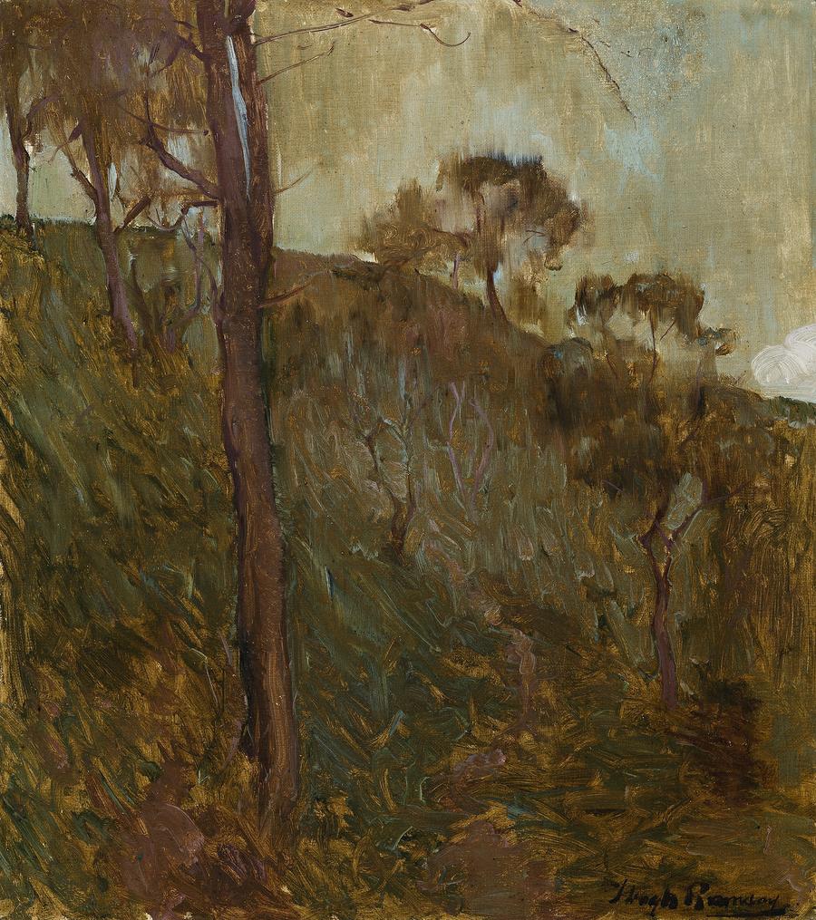 HILLSIDE BUSH LANDSCAPE
