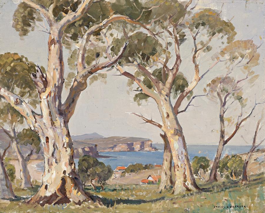 SYDNEY COASTAL SCENE