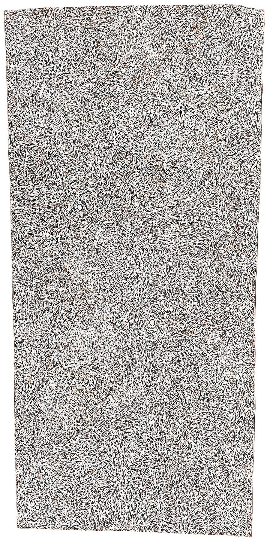 UNTITLED (WAWIRRITJPAL)