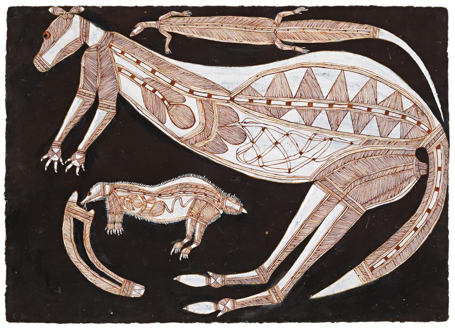 DJEKERRE – FEMALE BLACK ROCK WALLABY / NGARRBEK – ECHIDNA