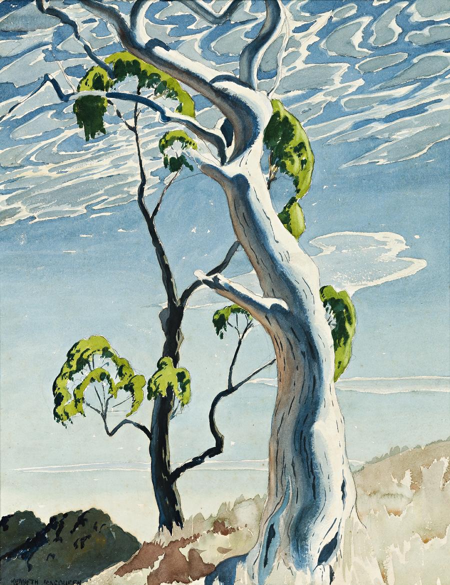 THE WHITE GUM TREE