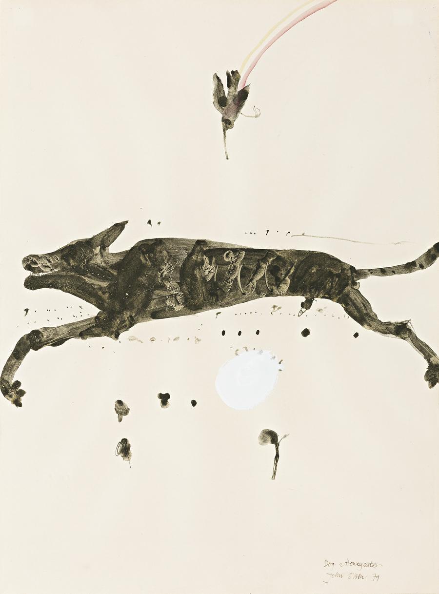 DOG AND HONEYEATER