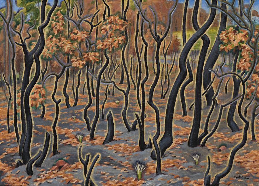 AFTER THE BUSHFIRE