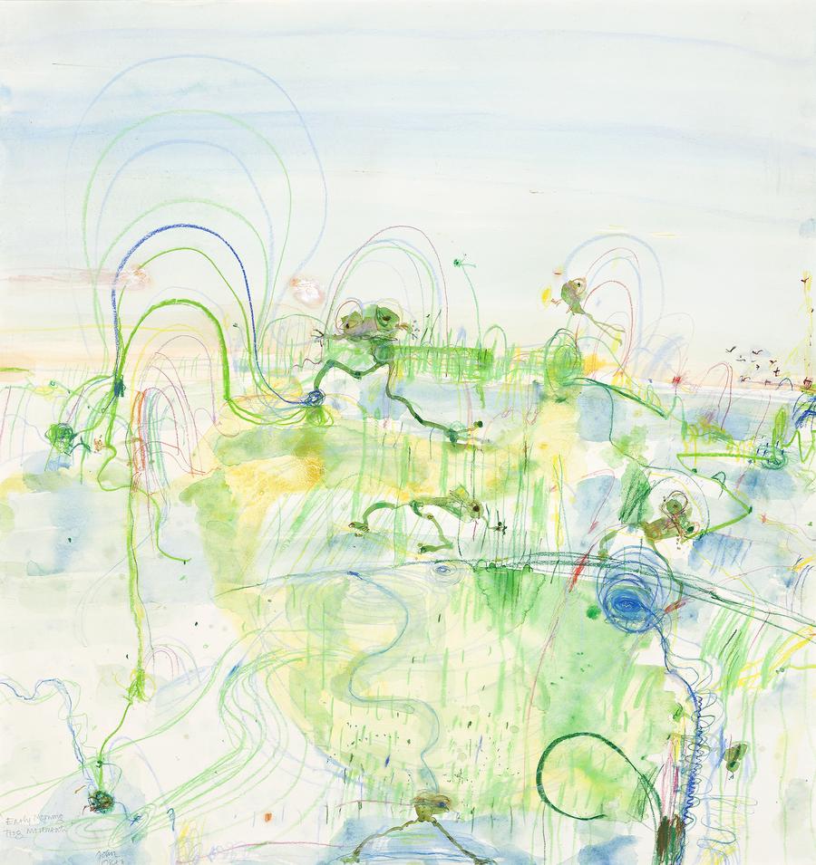 EARLY MORNING, FROG MOVEMENTS