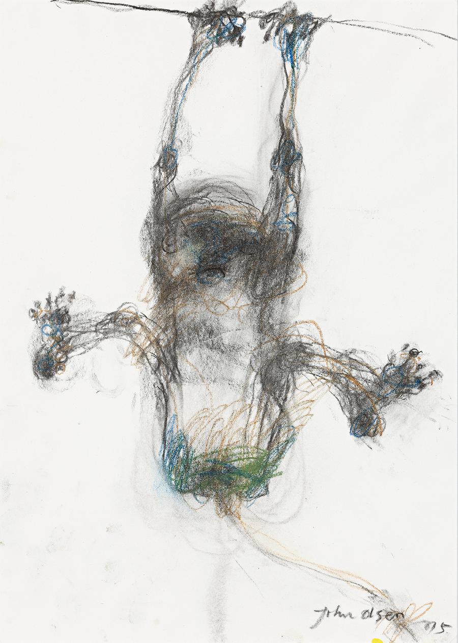 MONKEY