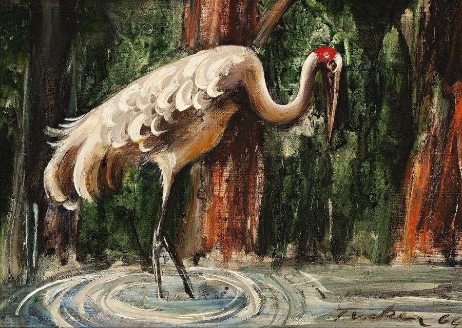 BROLGA I