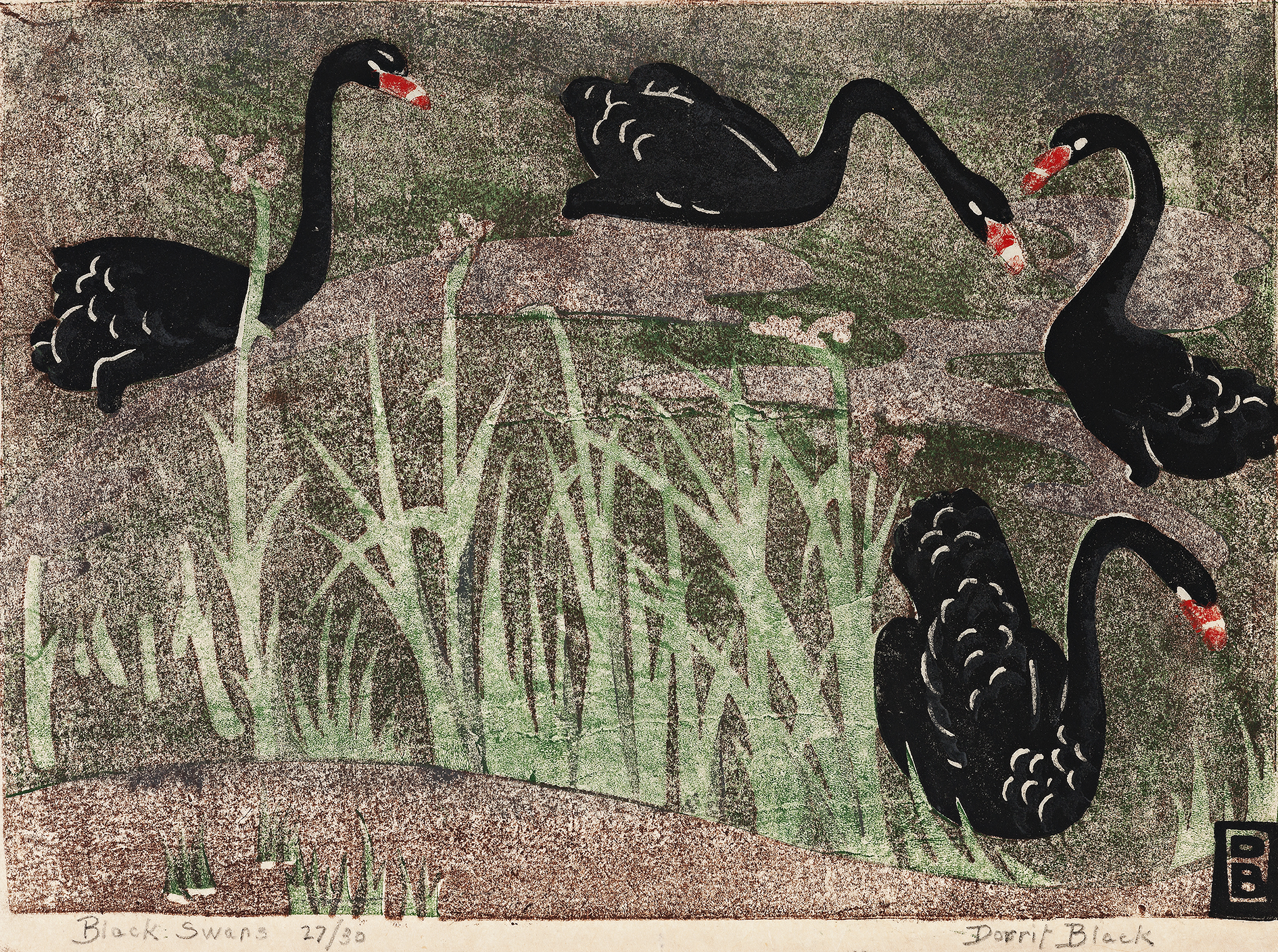 BLACK SWANS