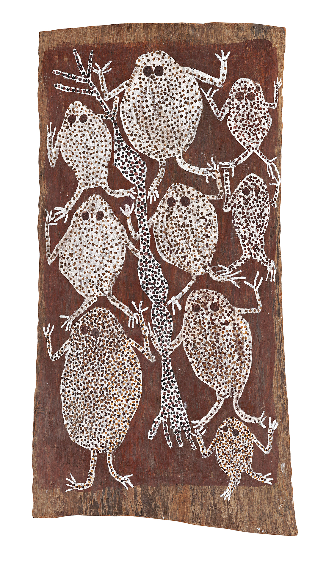 DJATI (FROGS)