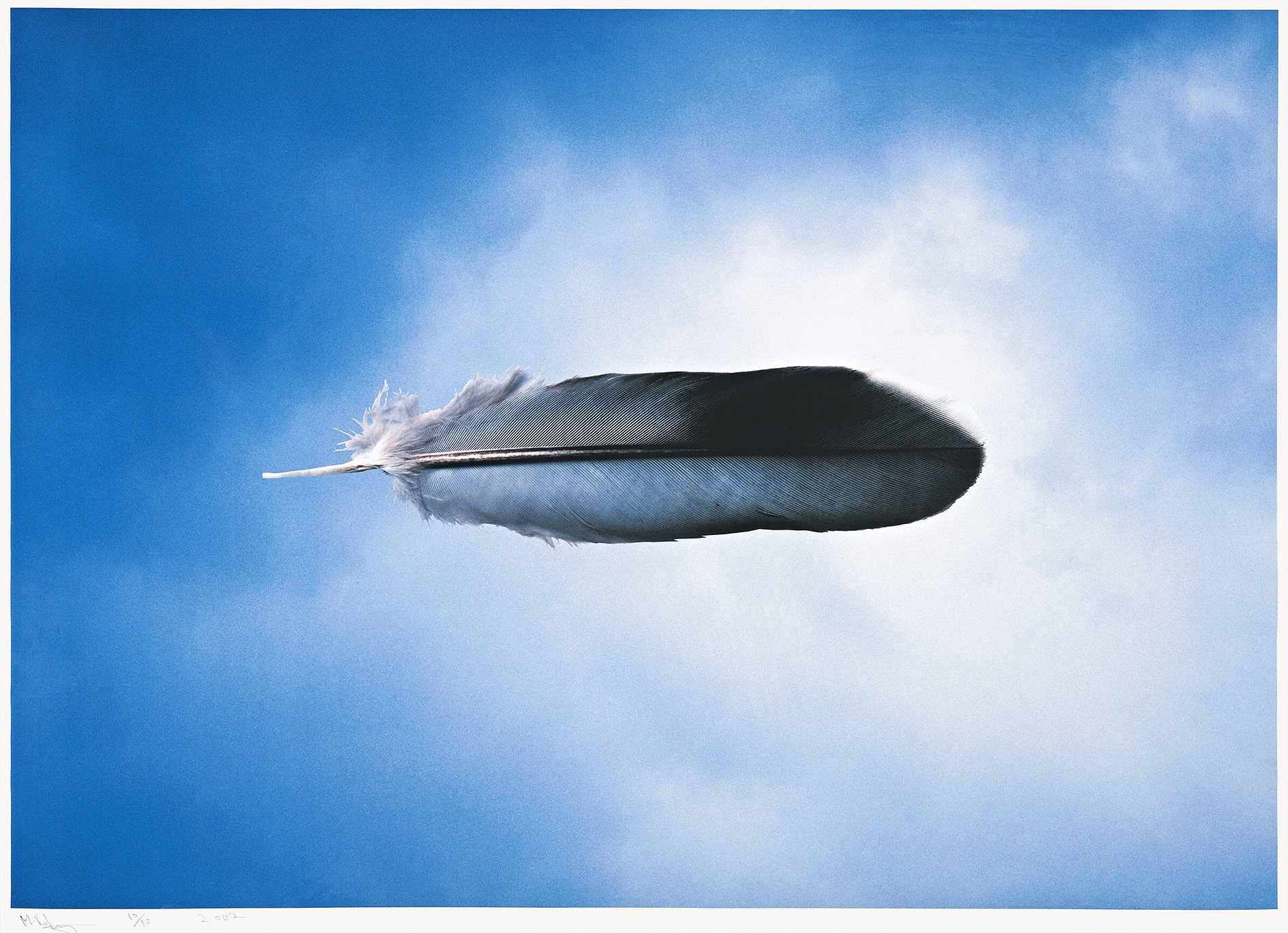 UNTITLED (FEATHER), 2000, (CLOUD SERIES), printed