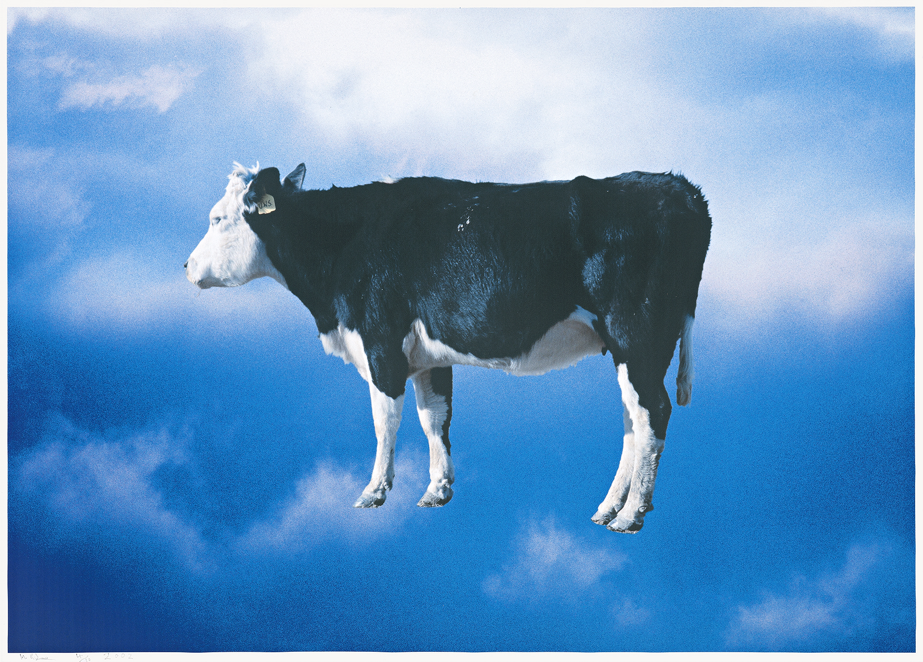 UNTITLED (COW), 2000, (CLOUD SERIES) , printed
