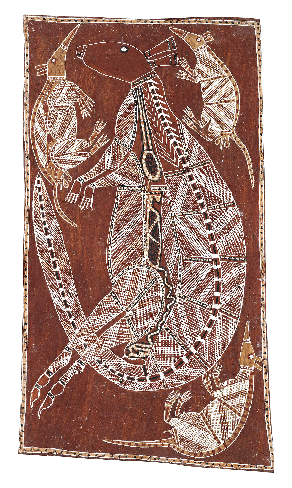 SACRED KANGAROO (KUNDAAGI) AND NORTHERN BANDICOOT