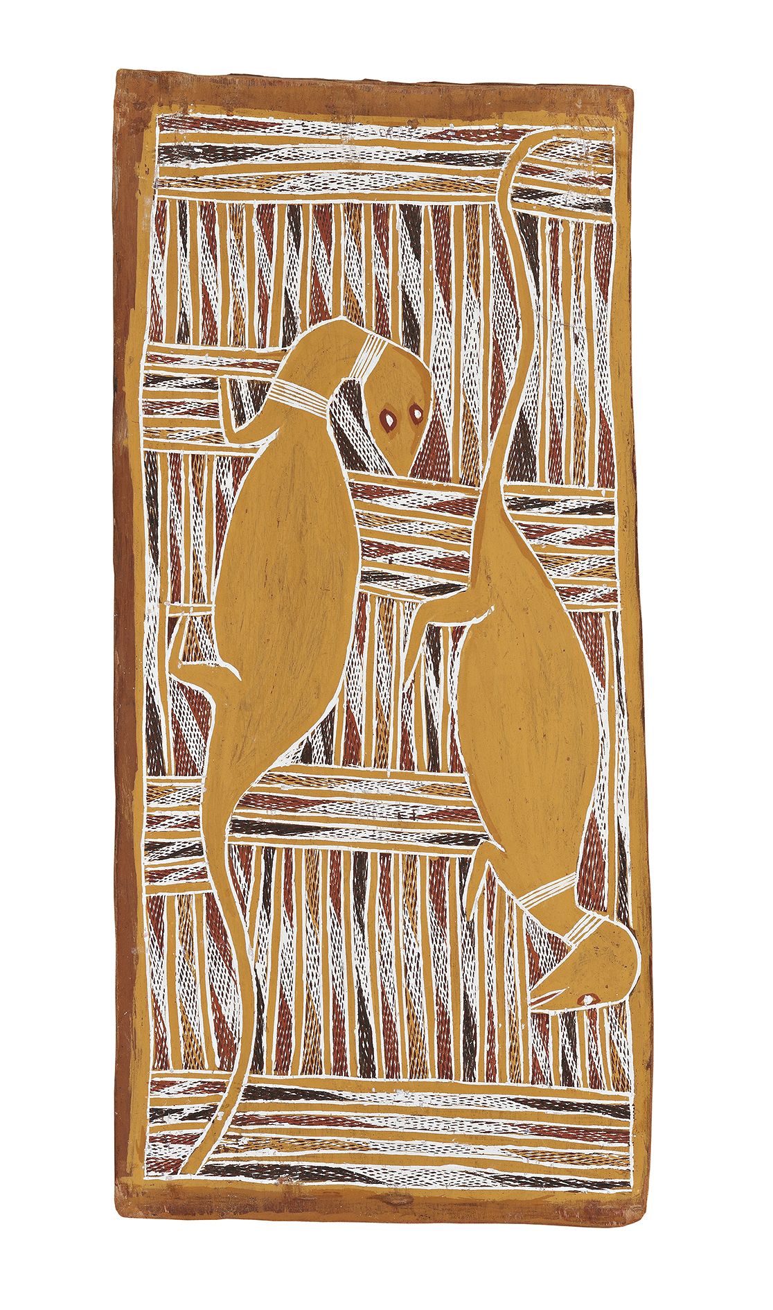 DJANDA (GOANNAS)