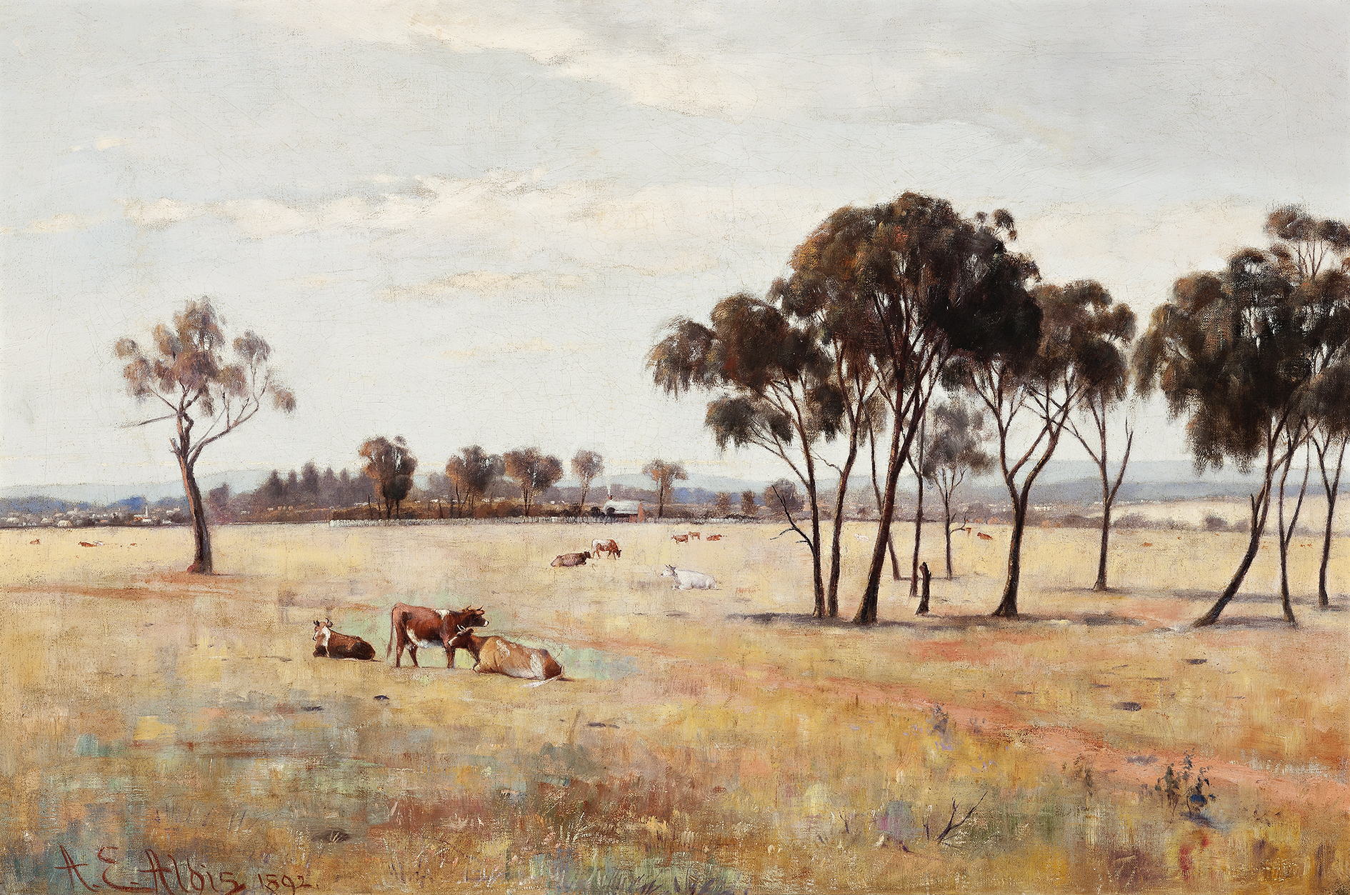 ROYAL PARK, MELBOURNE – SUMMER