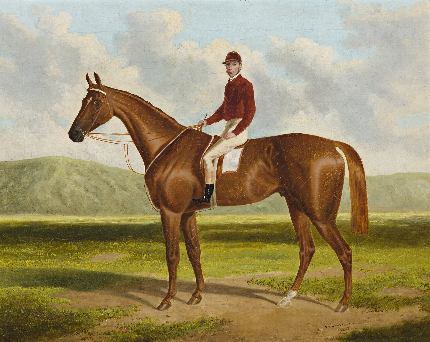 FALCON: WINNER OF THE 1864 ADELAIDE CUP