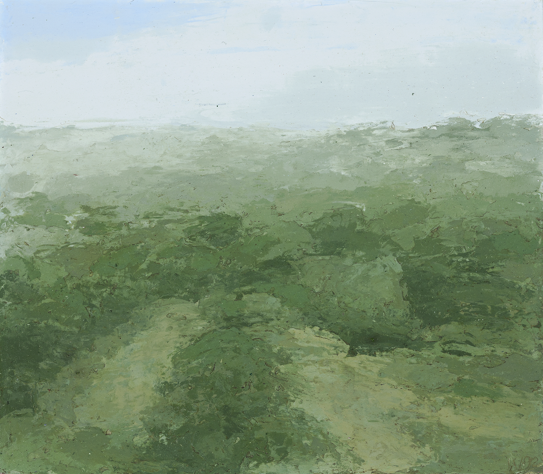 STUDY FOR THE NINTH ILLUSORY FIELD