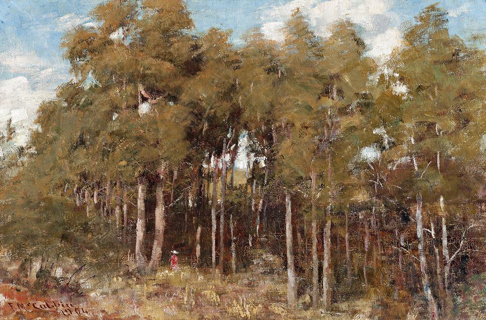 A MOUNTAIN CLEARING, MACEDON