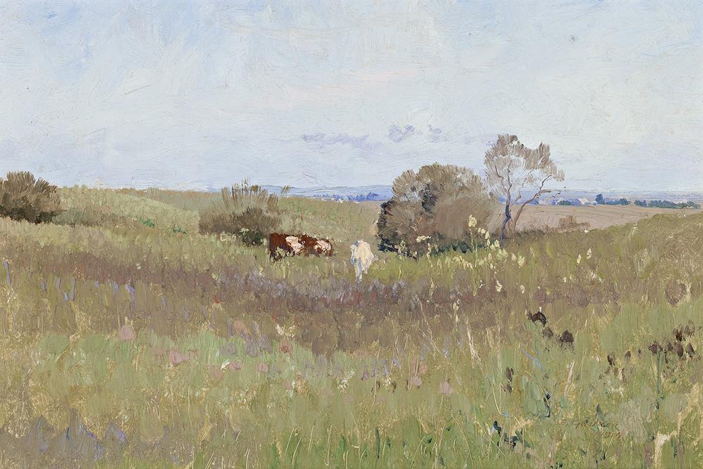 UNPLOUGHED FIELD