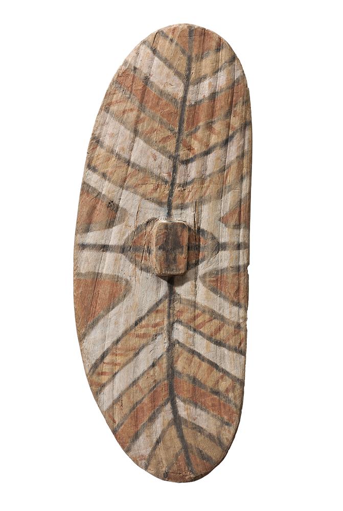 A QUEENSLAND RAINFOREST SHIELD
