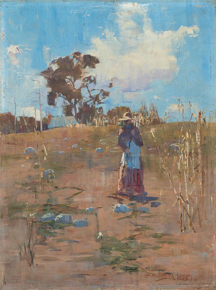 THE PUMPKIN PATCH