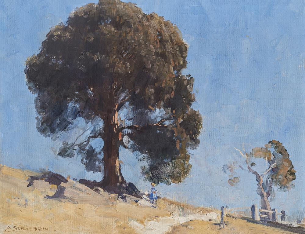 SHEOAK