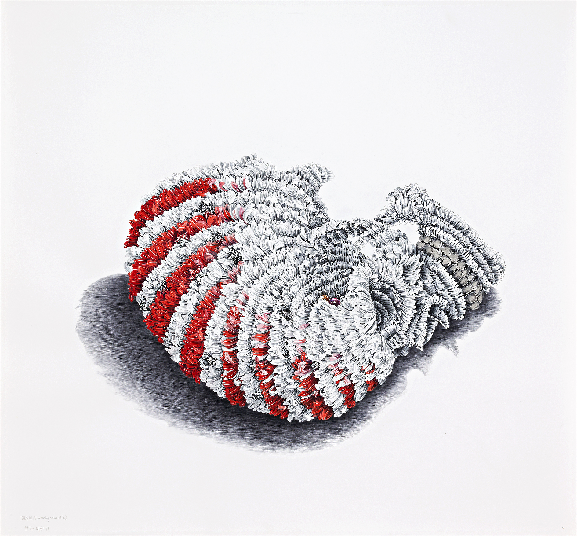 HELMET’S SKULL