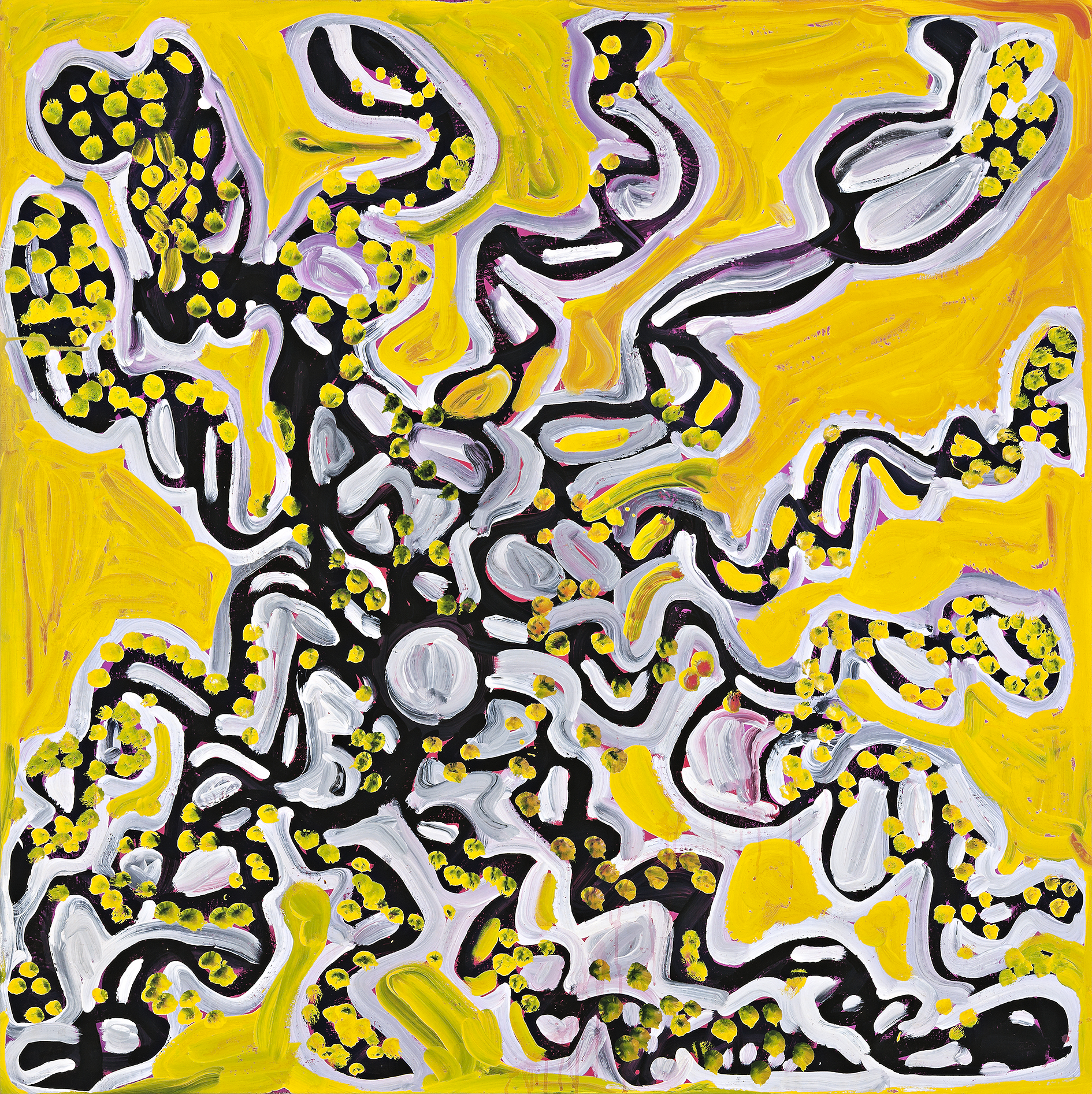 WARNA (SNAKE)