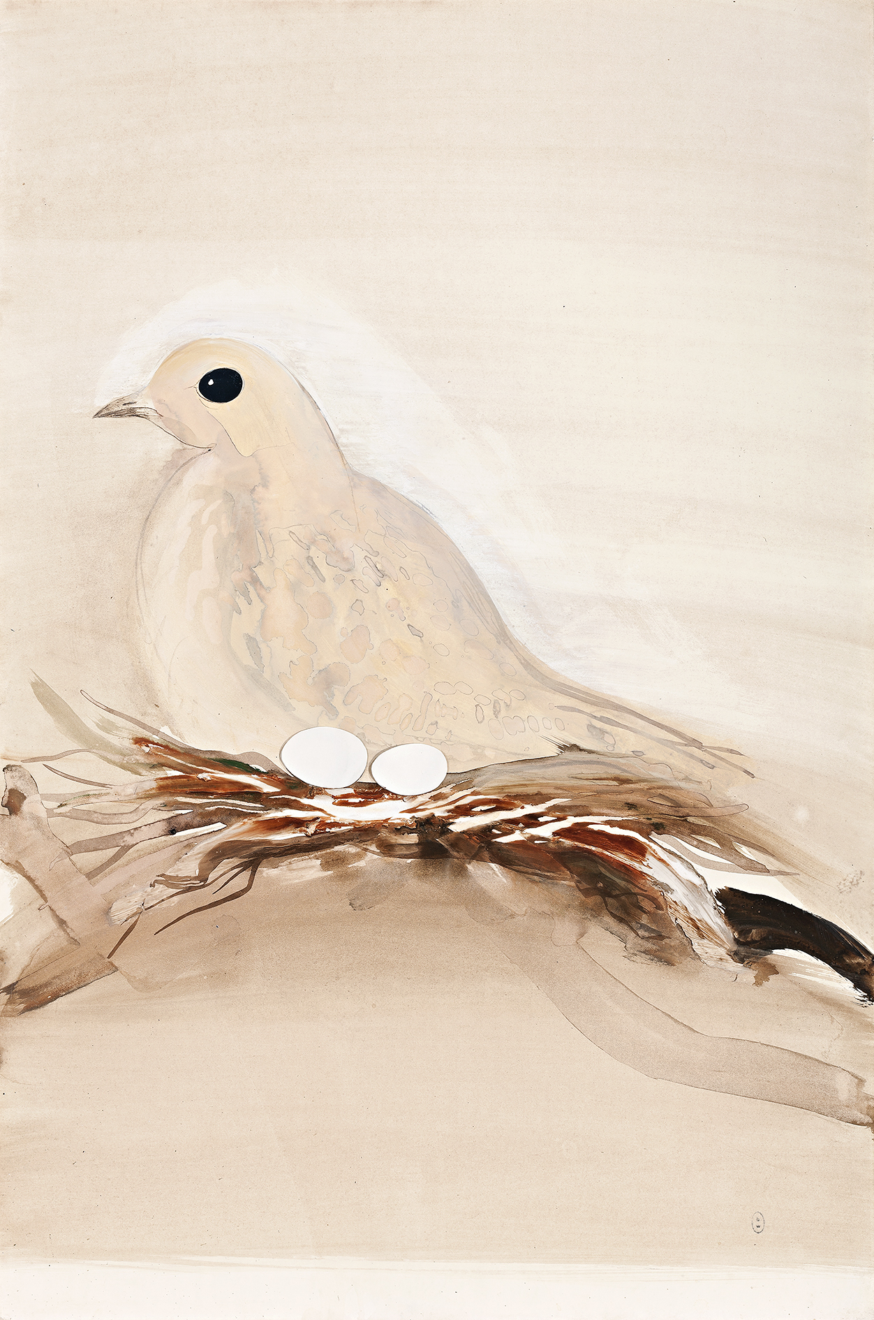 THE PINK DOVE I