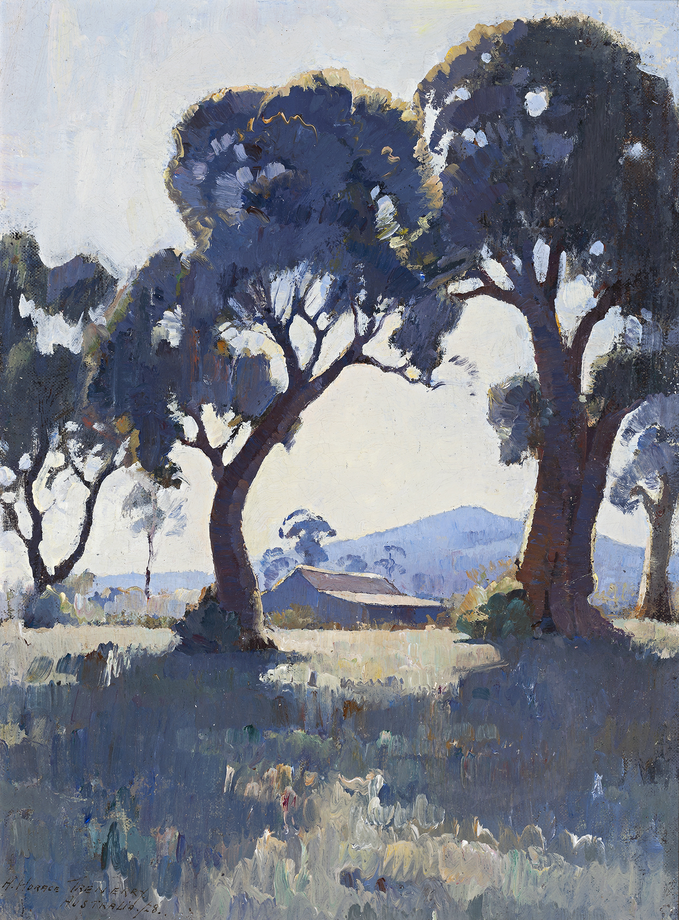 MORNING LIGHT