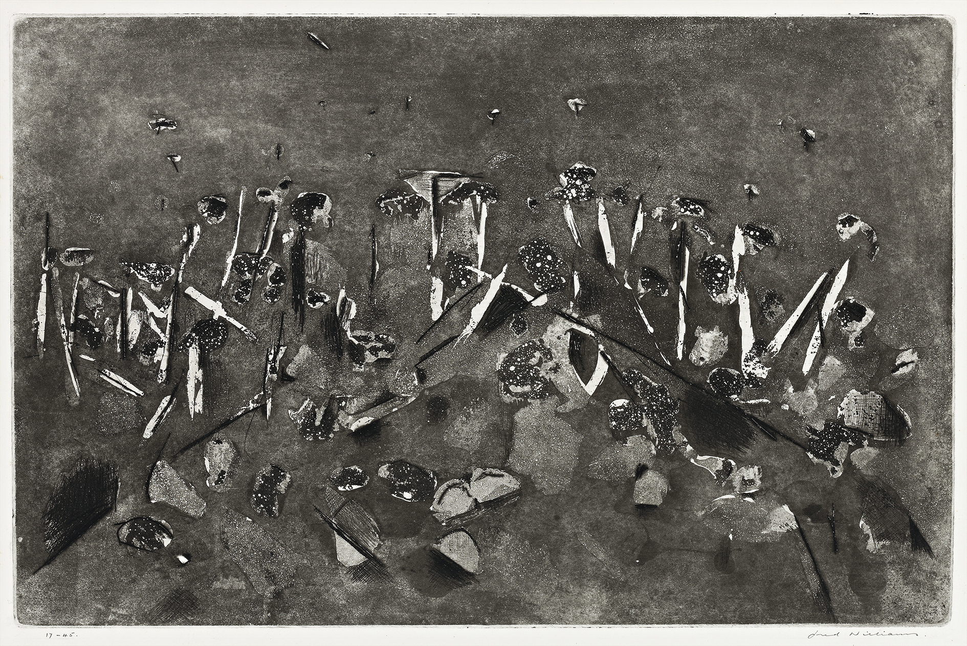 KNOLL IN THE YOU YANGS, 1963 – 64