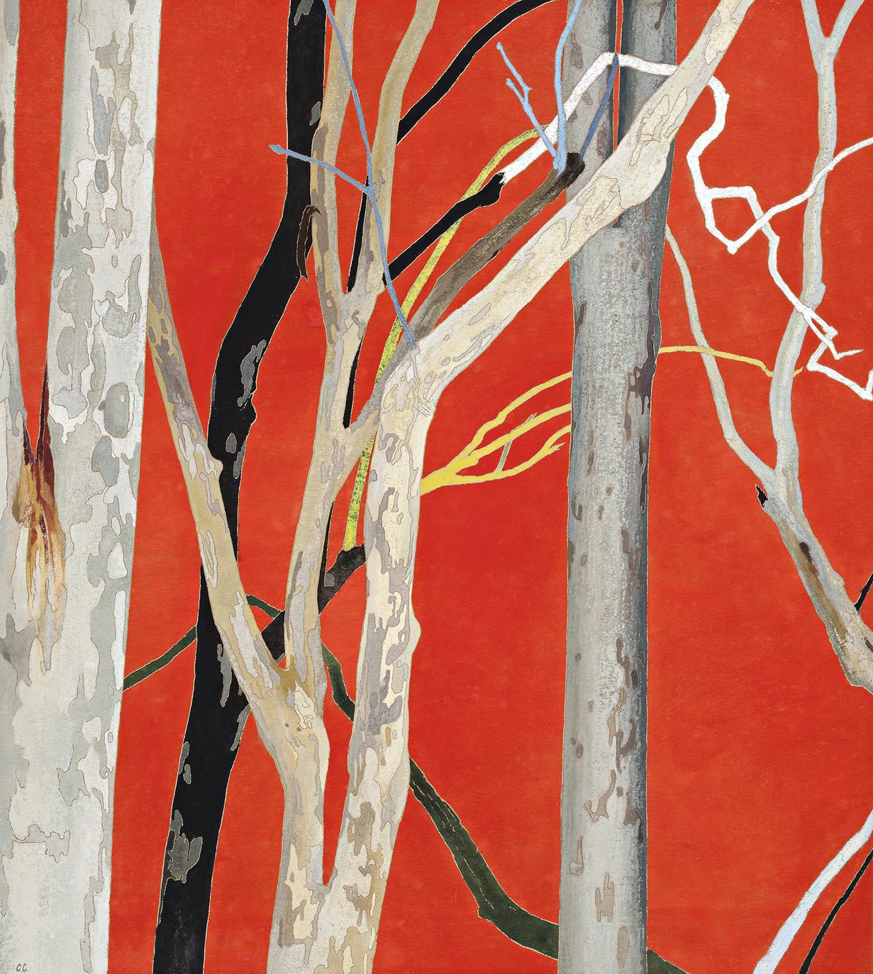 SPOTTED EUCALYPTS, ORANGE