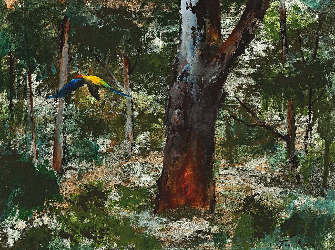 PARROTS IN THE BUSH