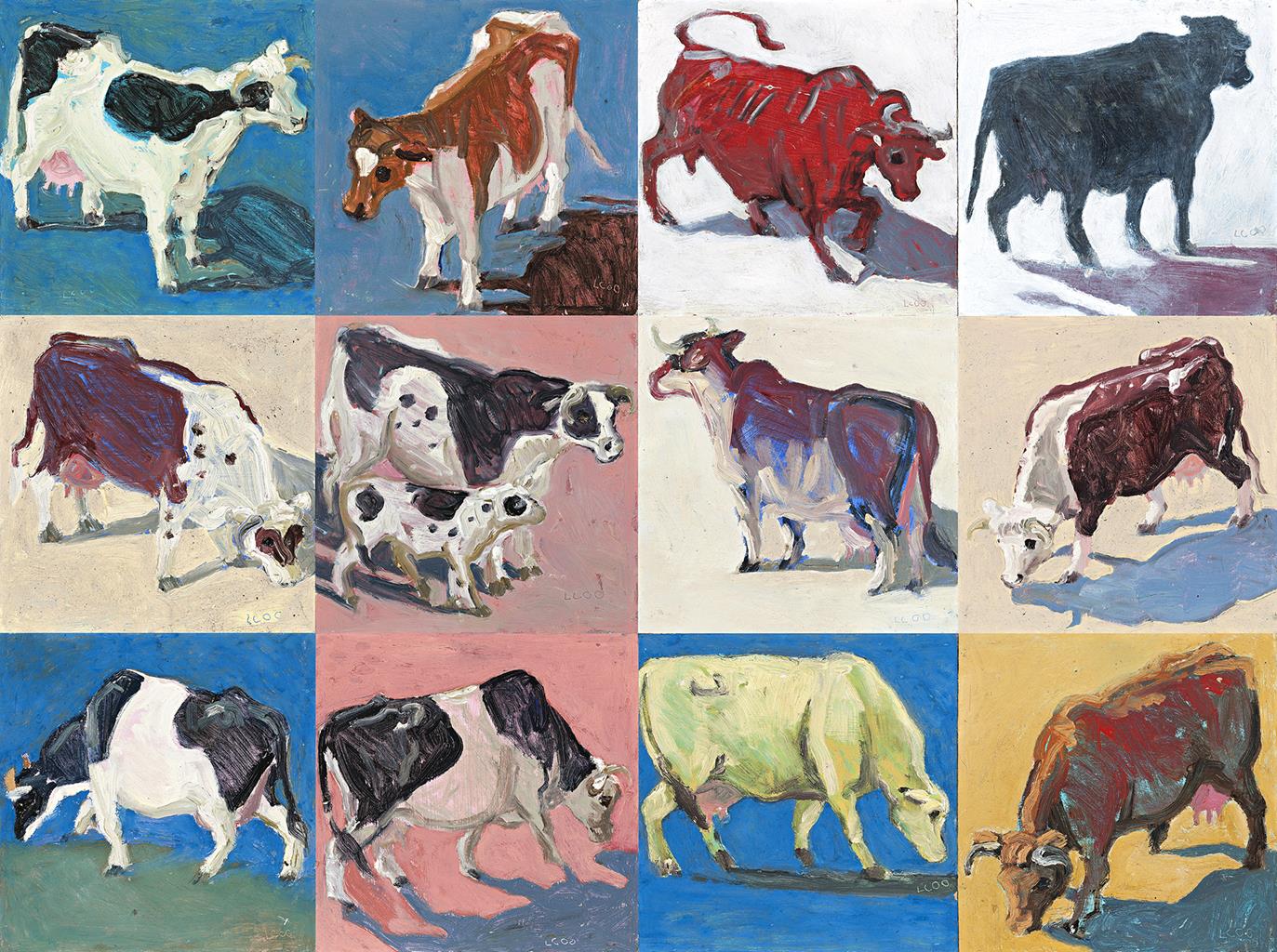 COWS AND BULLS