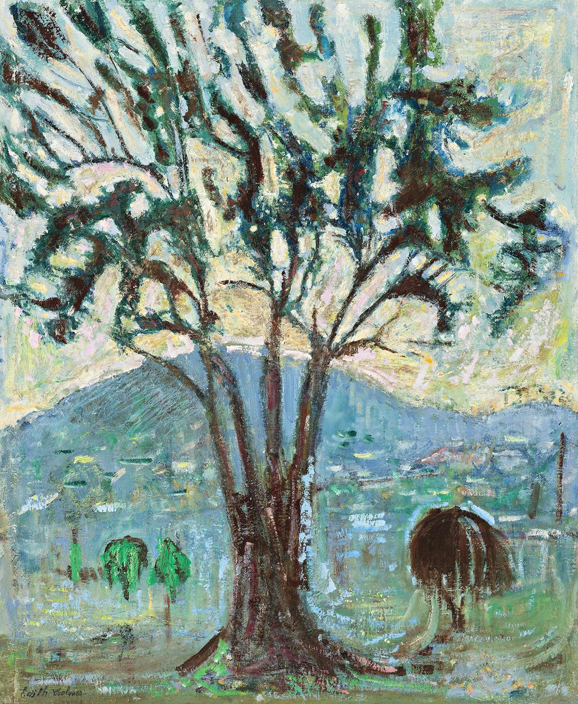 TREE AND SUNSET, BALLY PARK, TASMANIA