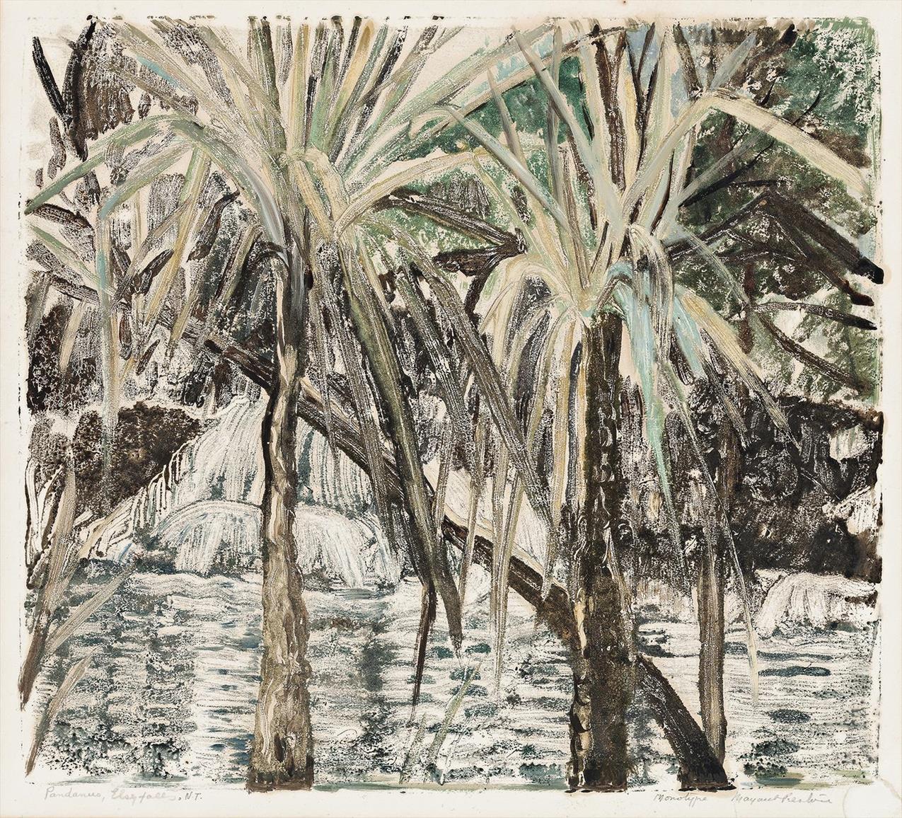PANDANUS, ELSEY FALLS