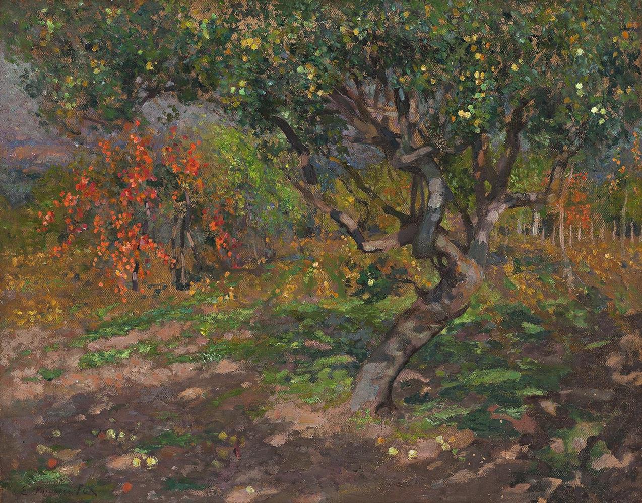 APPLE TREES