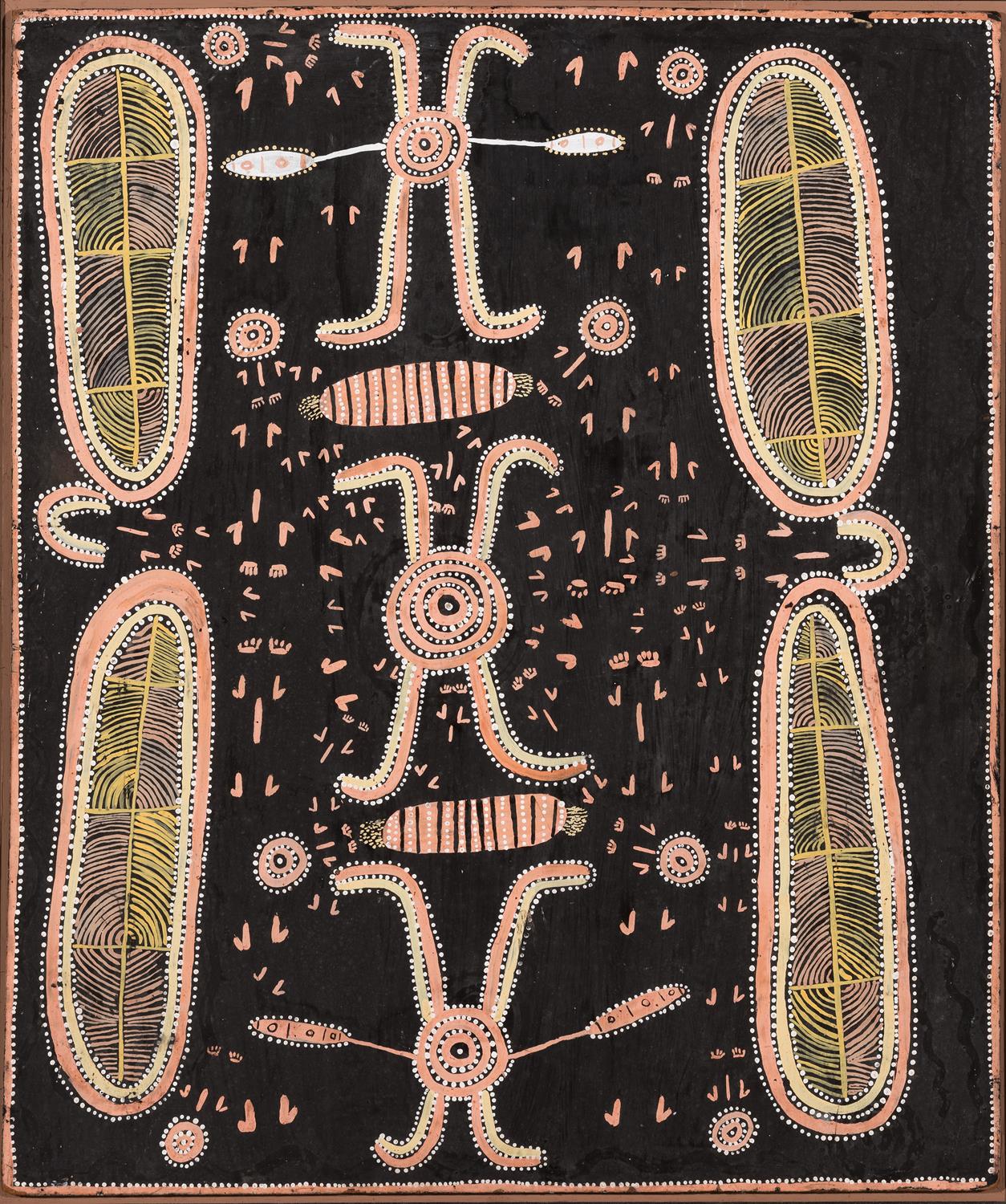 MALA (SPINIFEX WALLABY)