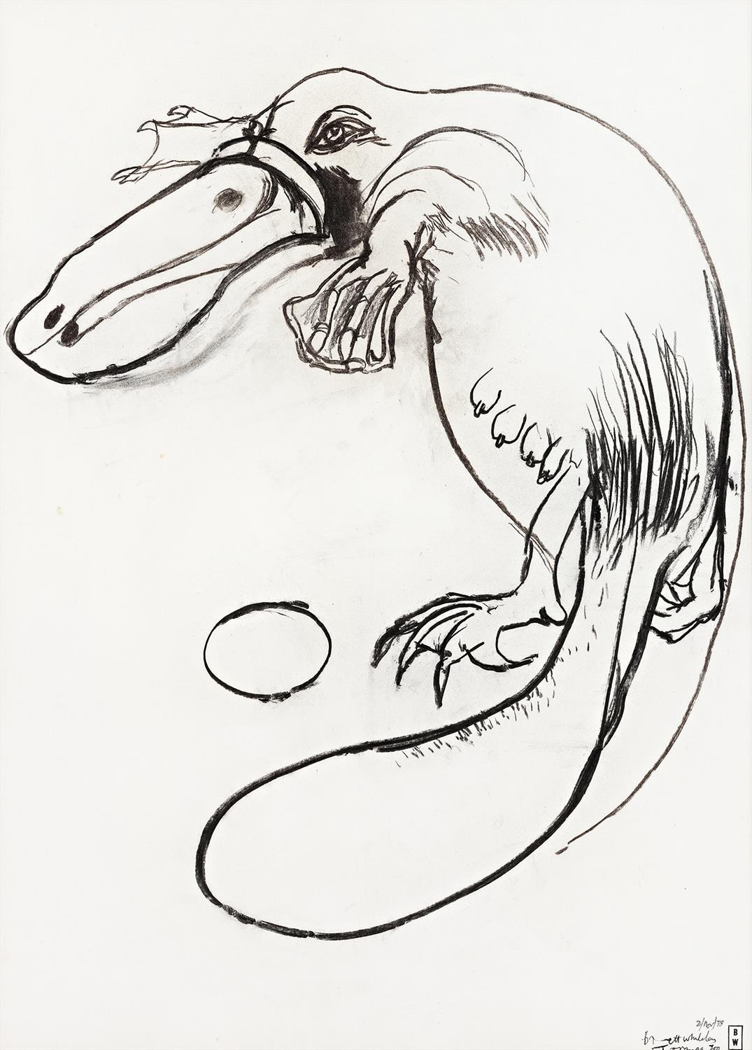 PLATYPUS, TARONGA ZOO