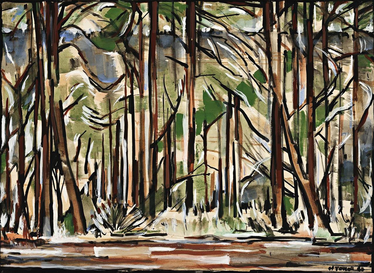 UNTITLED (KARRI FOREST)