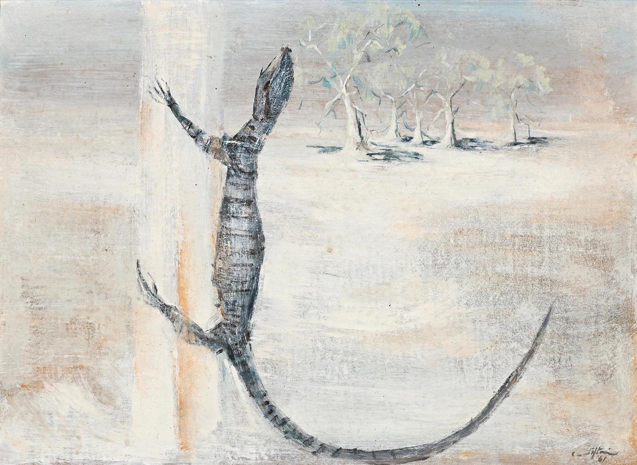 GOANNA UP A TREE