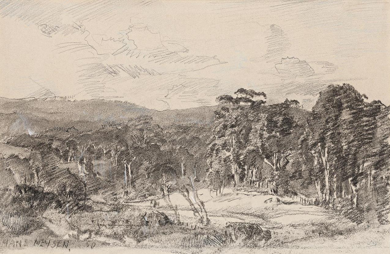 EDGE OF THE CLEARING