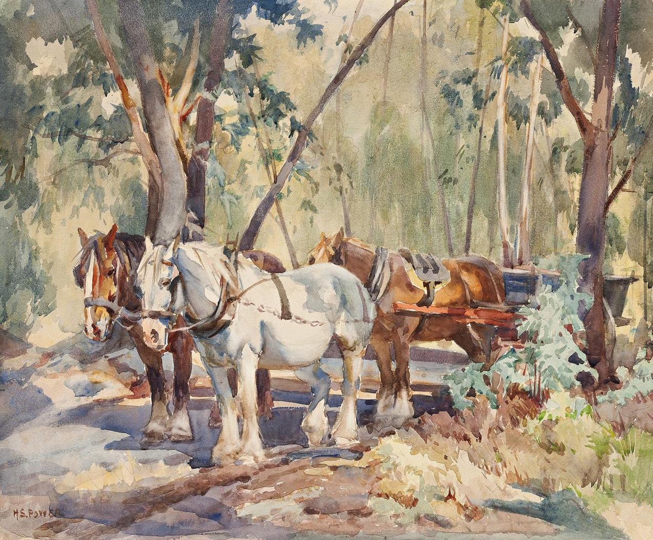 THREE DRAUGHT HORSES ON A FOREST TRACK