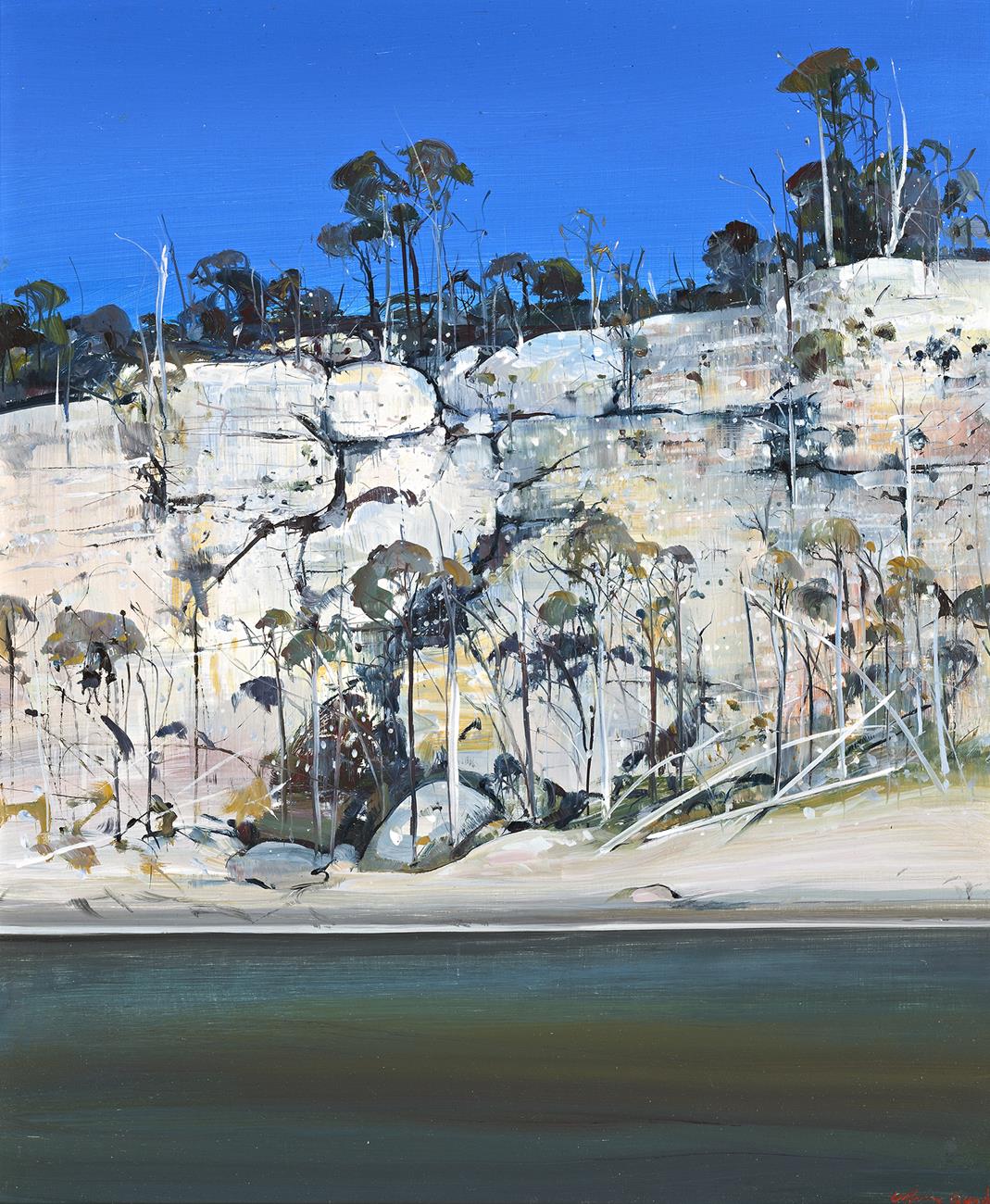 SHOALHAVEN RIVERBANK