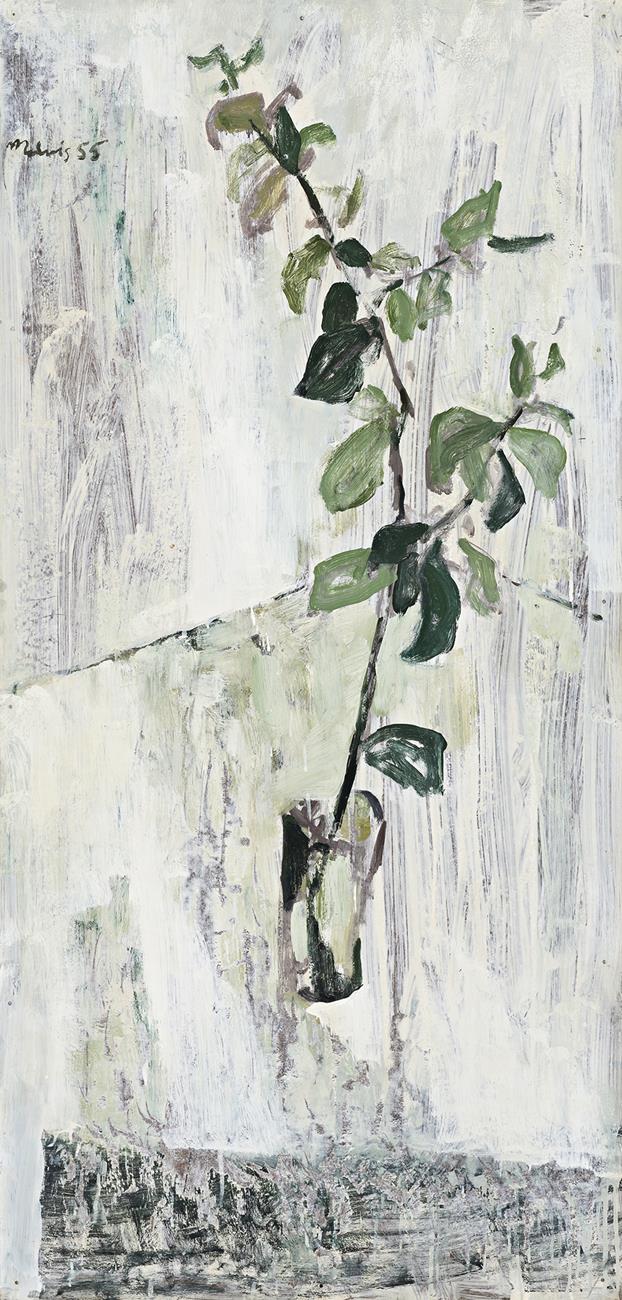 BRANCH OF A TREE