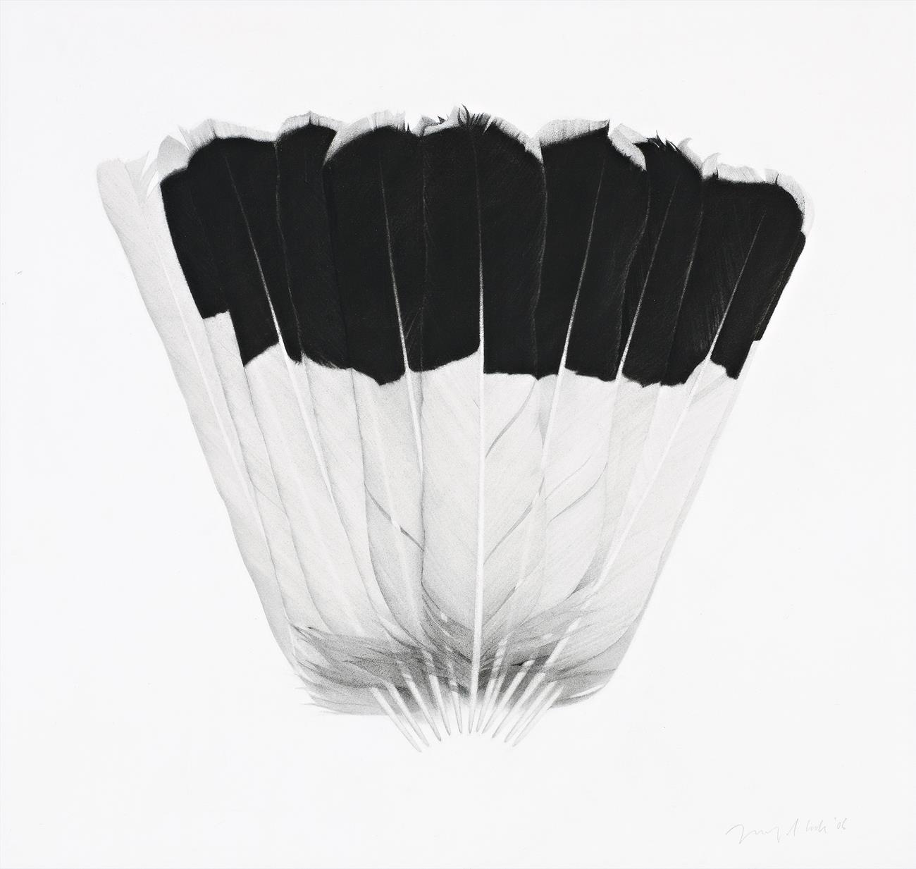 FAN TAIL III