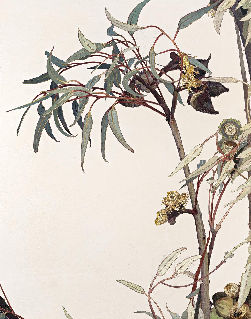 GUM BLOSSOM